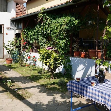 Apartamento Etnobubi Novi Sip Exterior foto