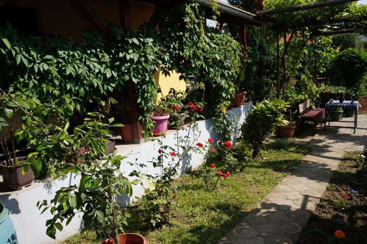 Apartamento Etnobubi Novi Sip Exterior foto