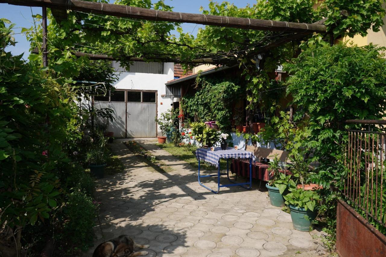 Apartamento Etnobubi Novi Sip Exterior foto